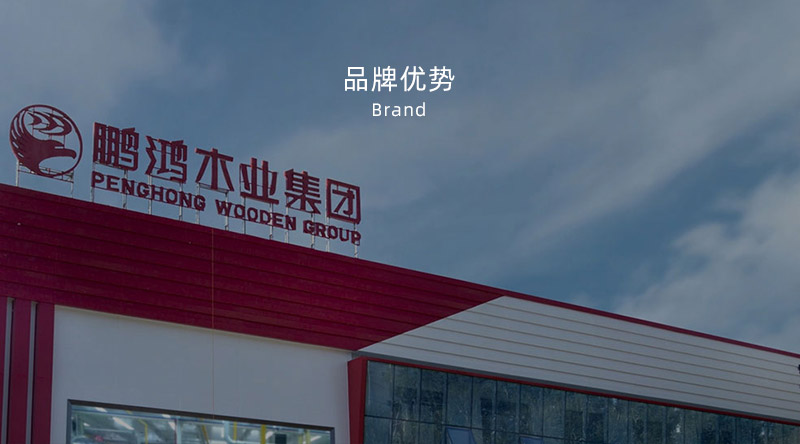 板材品牌、全屋定制品牌、生態(tài)板十大品牌