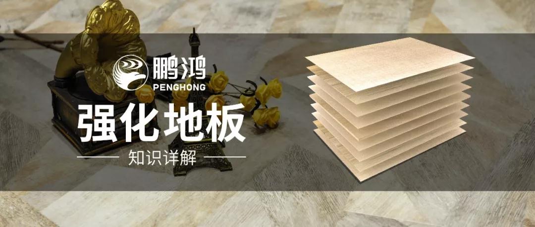 干貨｜強化地板知識問答<div   id=