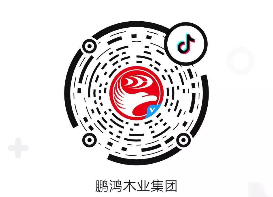 這廂有禮丨這個(gè)春節(jié)我最鴻，抖音相伴幸福年